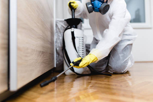 Professional Pest Control in Upper Arlington, OH