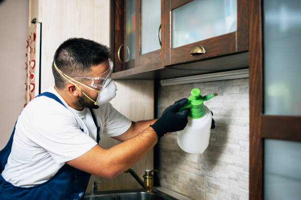 Best Emergency Pest Control  in Upper Arlington, OH