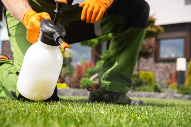 Best Local Pest Control Services  in Upper Arlington, OH