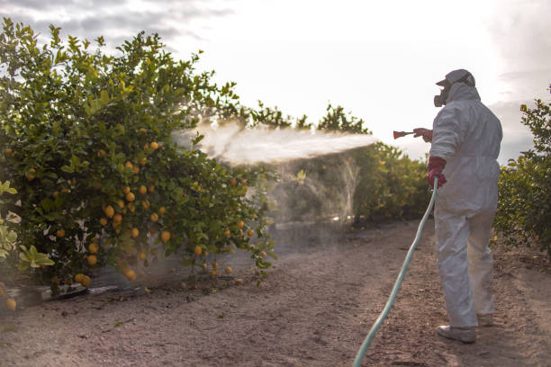 Best Bed Bug Extermination  in Upper Arlington, OH
