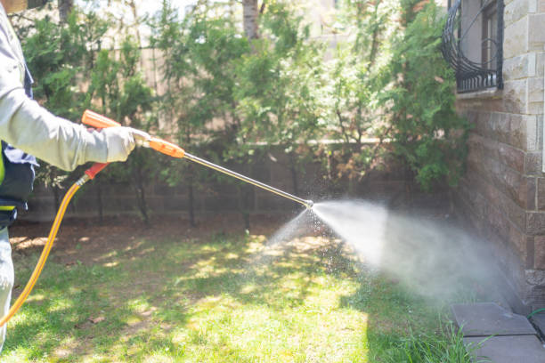 Flea Control Services in Upper Arlington, OH