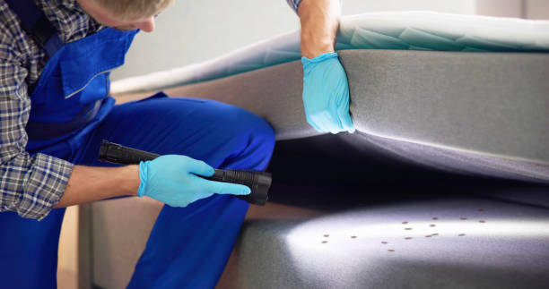 Best Affordable Pest Control Services  in Upper Arlington, OH