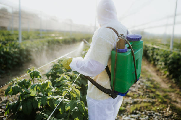 Best Termite Control Services  in Upper Arlington, OH